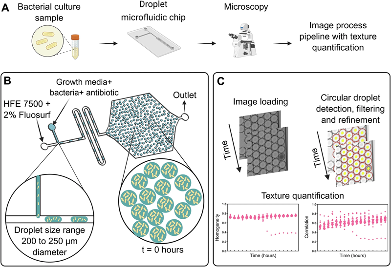 Publication highlight image