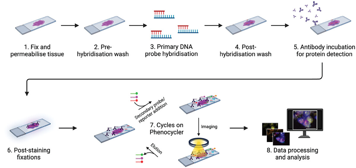 Publication highlight image