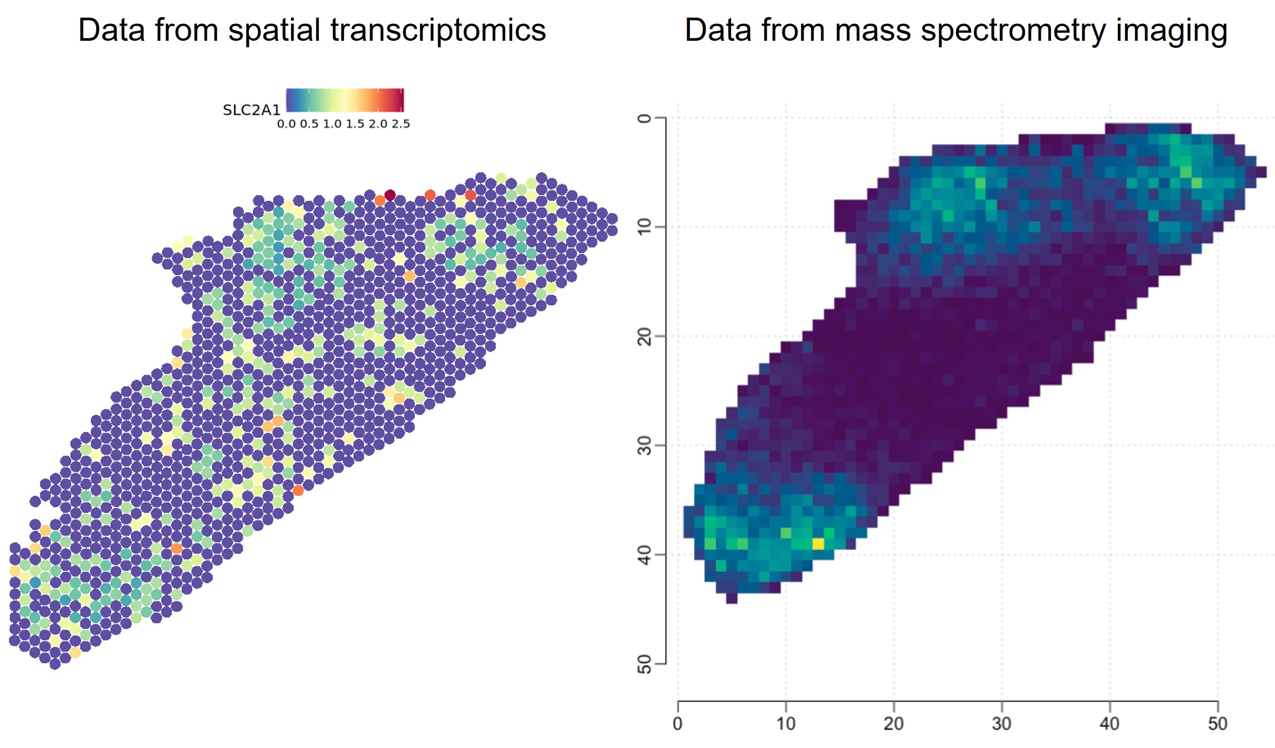 Combining data from mass spectrometry imaging and spatially resolved transcriptomics modalities